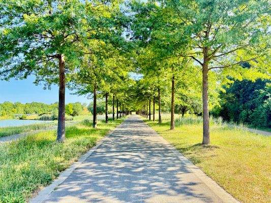 Natur pur am Bogensee