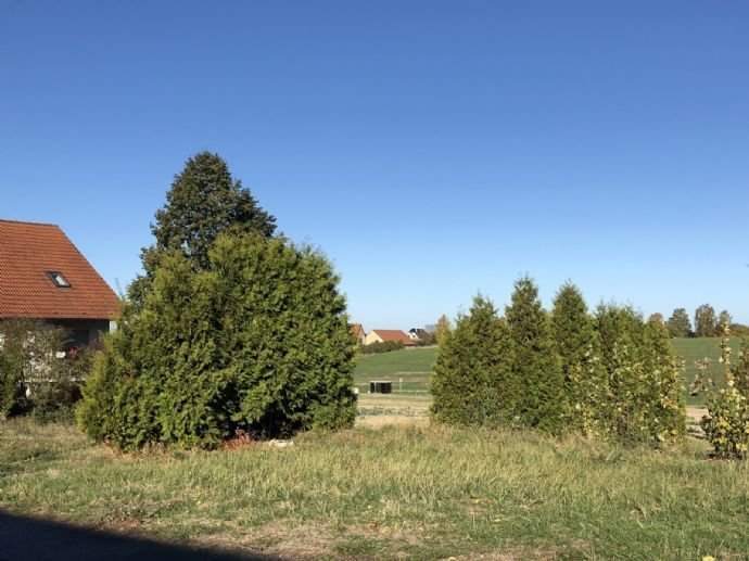 sonniges Baugrundstück in Grimma - bauträgerfrei