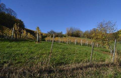 Fürstenfeld, Südoststeiermark, Vulkanland, Thermen Häuser, Fürstenfeld, Südoststeiermark, Vulkanland, Thermen Haus kaufen