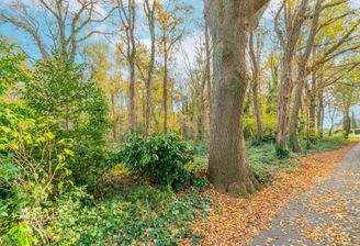 Blick ins Grundstück