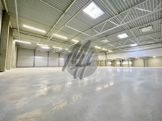 INFOS UNTER: 06171-586000