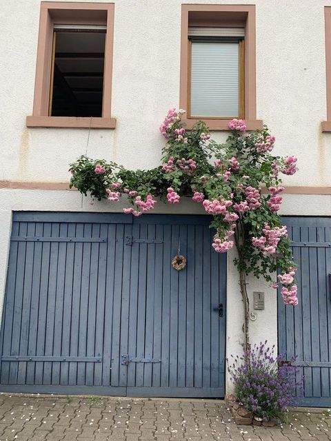 Otzberg-Ober-Klingen Häuser, Otzberg-Ober-Klingen Haus mieten 