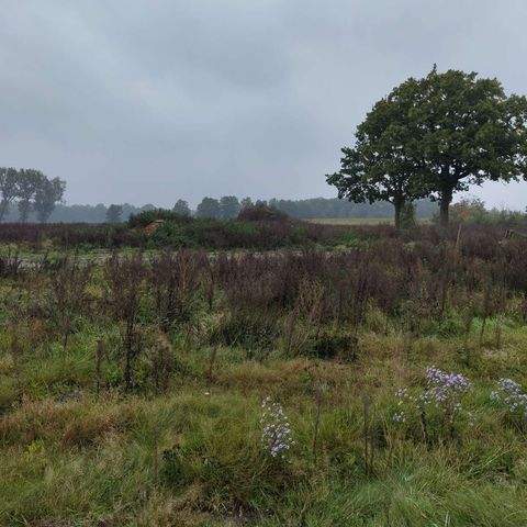 Winsen Grundstücke, Winsen Grundstück kaufen