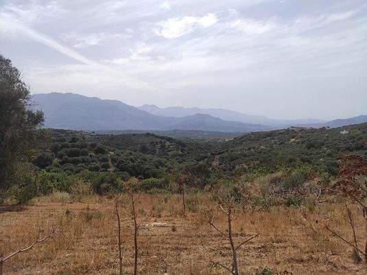 Kreta, Karoti: Grundstück mit Baugenehmigung und atemberaubendem Bergblick zu verkaufen