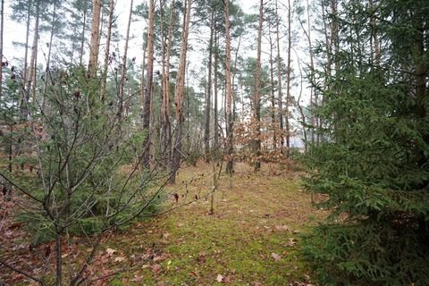 Beelitz / Fichtenwalde Grundstücke, Beelitz / Fichtenwalde Grundstück kaufen