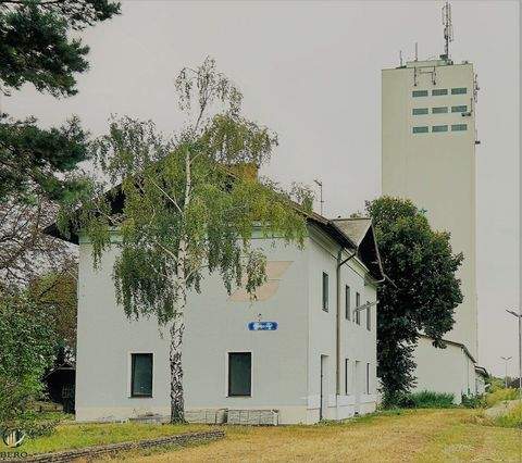 Haugsdorf Häuser, Haugsdorf Haus kaufen