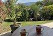 Blick in den Garten