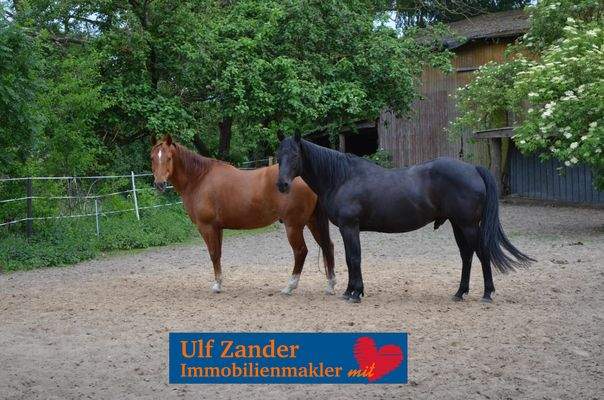 Resthof bei Bad Bodenteich