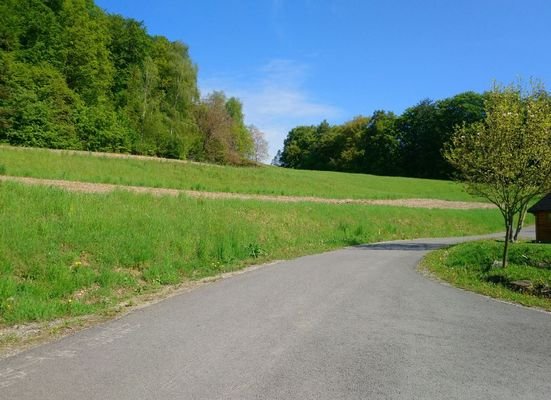 Blick auf das Grundstück Edelstauden