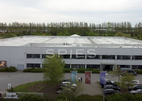 Rostock Halle, Rostock Hallenfläche