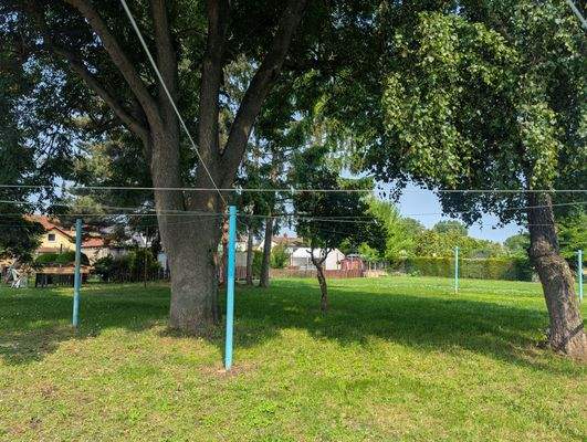 2025-06-03_Gartenansicht