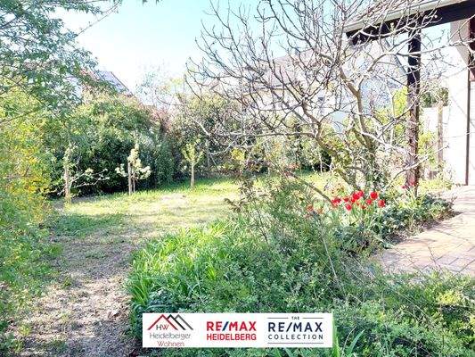 WhatsApp Image 2025-04-14 at 08.06.42