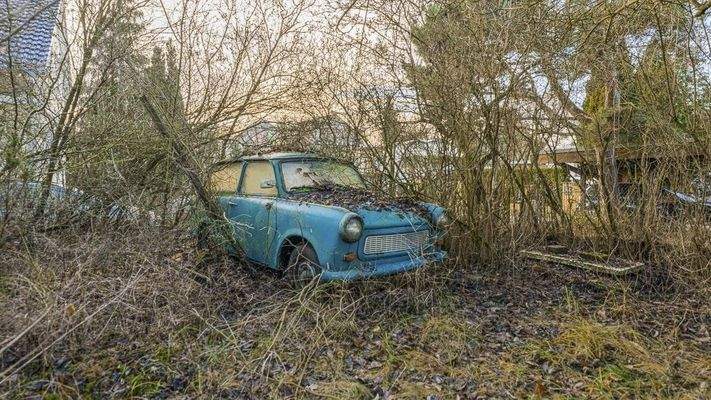 Wo Geschichte im Gebüsch parkt – Grundstück mit Trabbi-Schatz