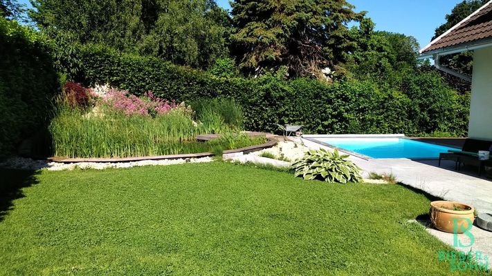 Garten - Pool