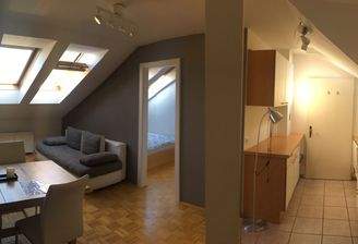 Blick in Wohnraum, Schlafzimmer und offener Küche