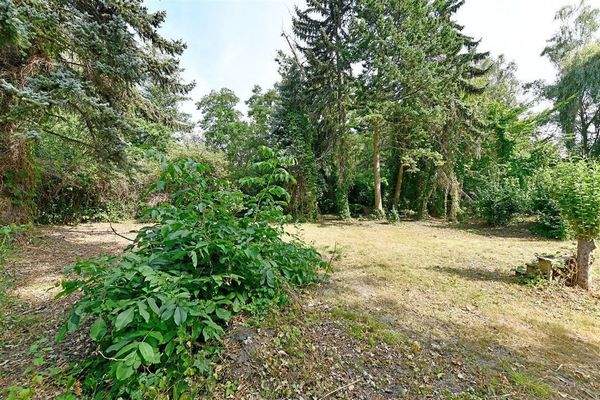 Grundstück in Richtung Panke