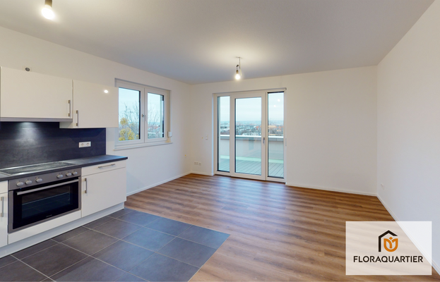 Wohnbereich mit offener Küche Muster