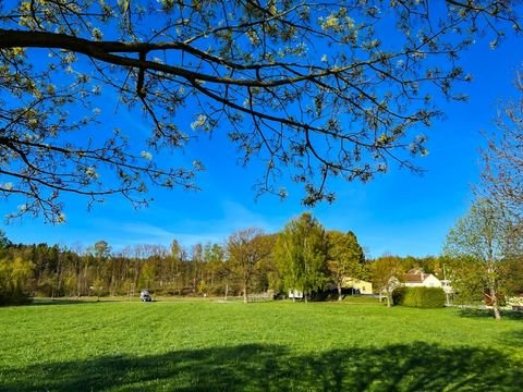 Ringenhain Häuser, Ringenhain Haus kaufen