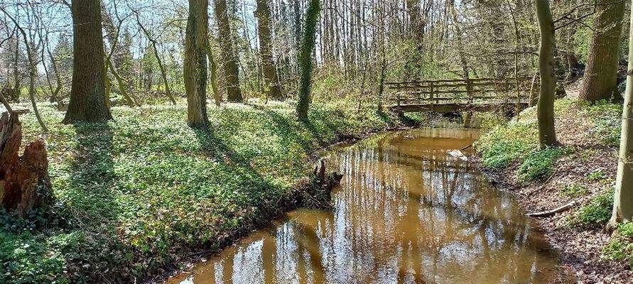 Nebenfluss der der Großen Aue
