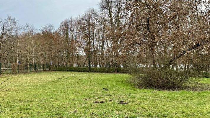 Blick über die Wiese auf den See