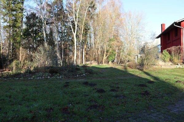 Gemeinschaftsfläche II