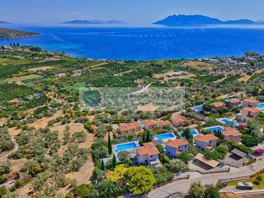 3846dfbf43054557862d9b5184768e4d-original