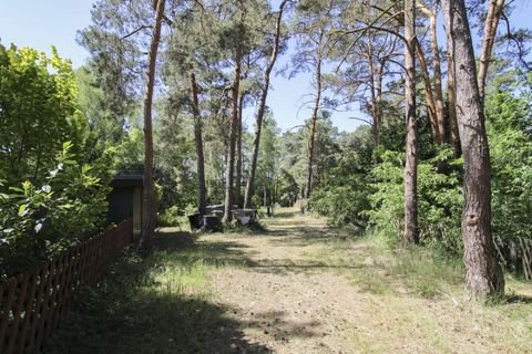 Heidesee Grundstücke, Heidesee Grundstück kaufen