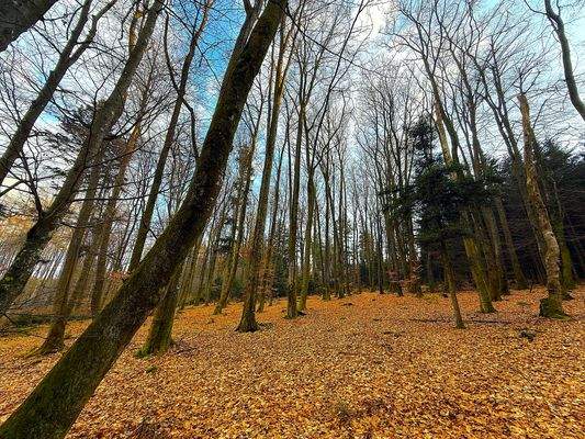 Blick auf den Bereich B.JPG