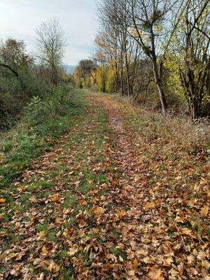 Weiterer Verlauf des südlichen Weges