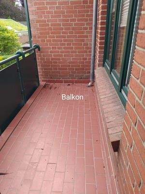 PHOTO-2025-07-24-10-18-47 0472.jpg