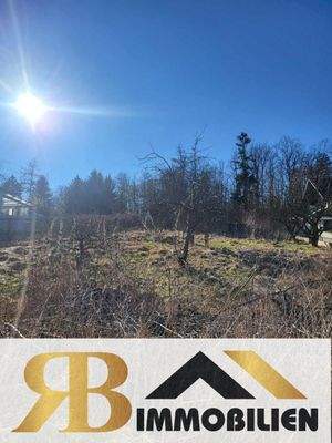 Baugrundstück hangig