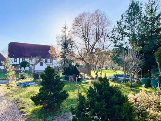 vorderer Gartenbereich