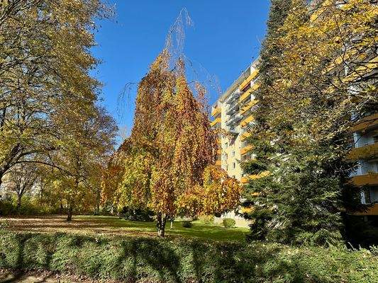 Gemeinsame Gartenanlage