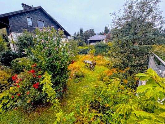 schöner, naturbelassener Garten