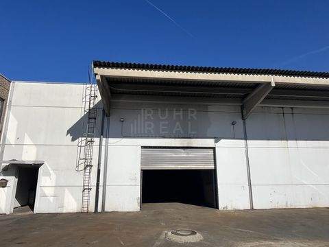 Köln Halle, Köln Hallenfläche