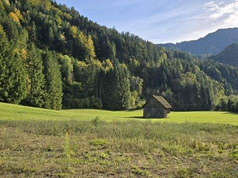 Ebriach Bauernhöfe, Landwirtschaft, Ebriach Forstwirtschaft