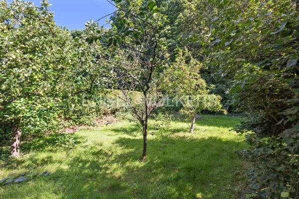 Aufnahme rückwärtiger Garten