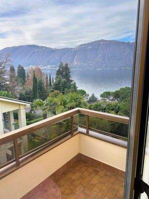 IMG-20260111-WA0008~3 - Copia - Copia (2).jpg