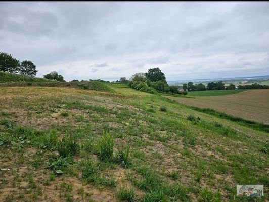 Landwirtschaftsfläche &quot;Axtfeld&quot; Gemarkung Walda