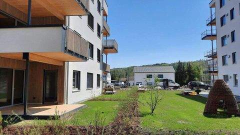 Waldshut-Tiengen Wohnungen, Waldshut-Tiengen Wohnung kaufen