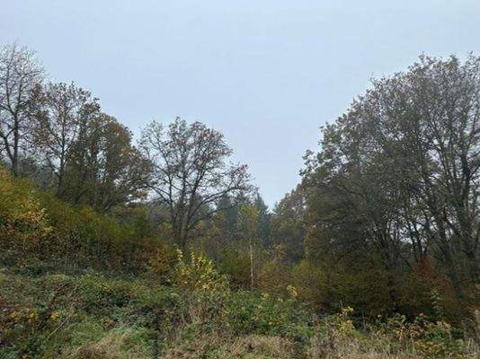 Fl.Nr. 3578, Gem. Rieneck