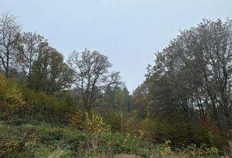 Fl.Nr. 3578, Gem. Rieneck