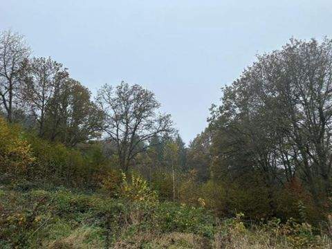 Rieneck Grundstücke, Rieneck Grundstück kaufen