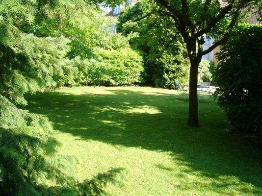 Blick vom Freisitz in den garten