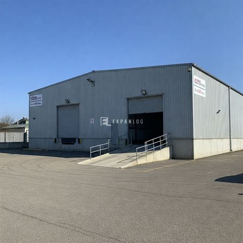 Erkrath Halle, Erkrath Hallenfläche