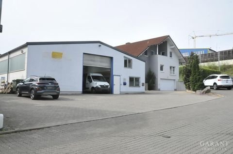 Mühlhausen Häuser, Mühlhausen Haus kaufen