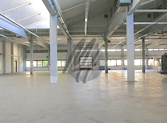 INFOS UNTER: 06171-586000