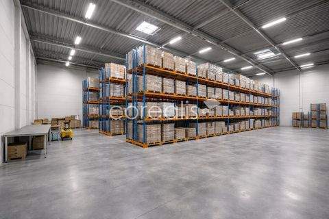 Duisburg / Obermeiderich Halle, Duisburg / Obermeiderich Hallenfläche