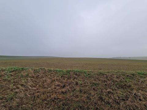 Großmugl Bauernhöfe, Landwirtschaft, Großmugl Forstwirtschaft