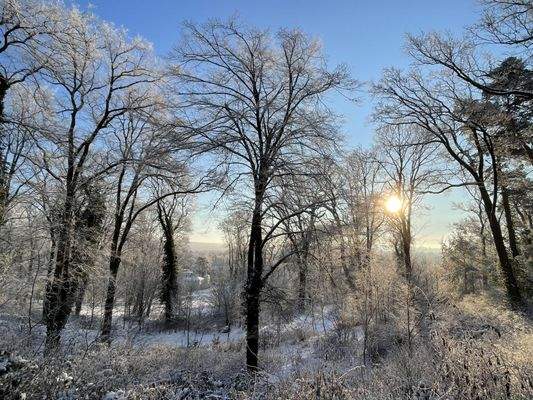 Der Winter um die Ecke im Wald